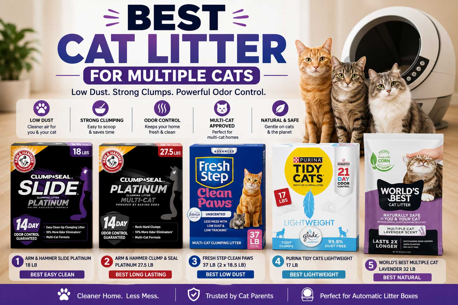 best cat litter for multiple cats