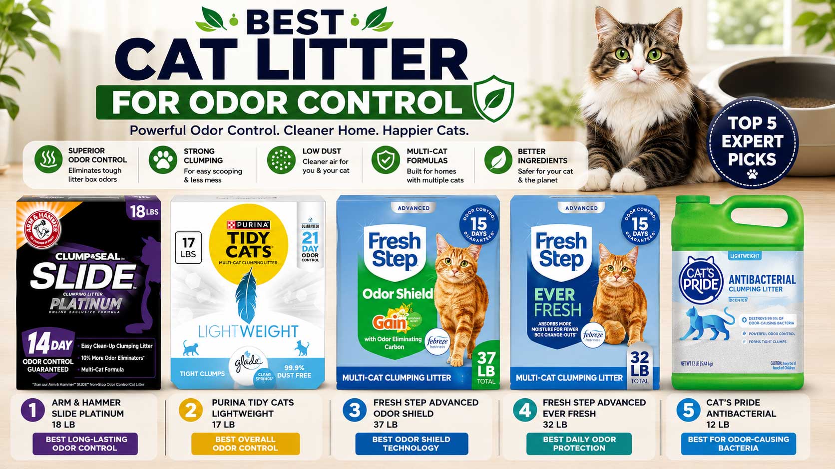 best cat litter for odor control