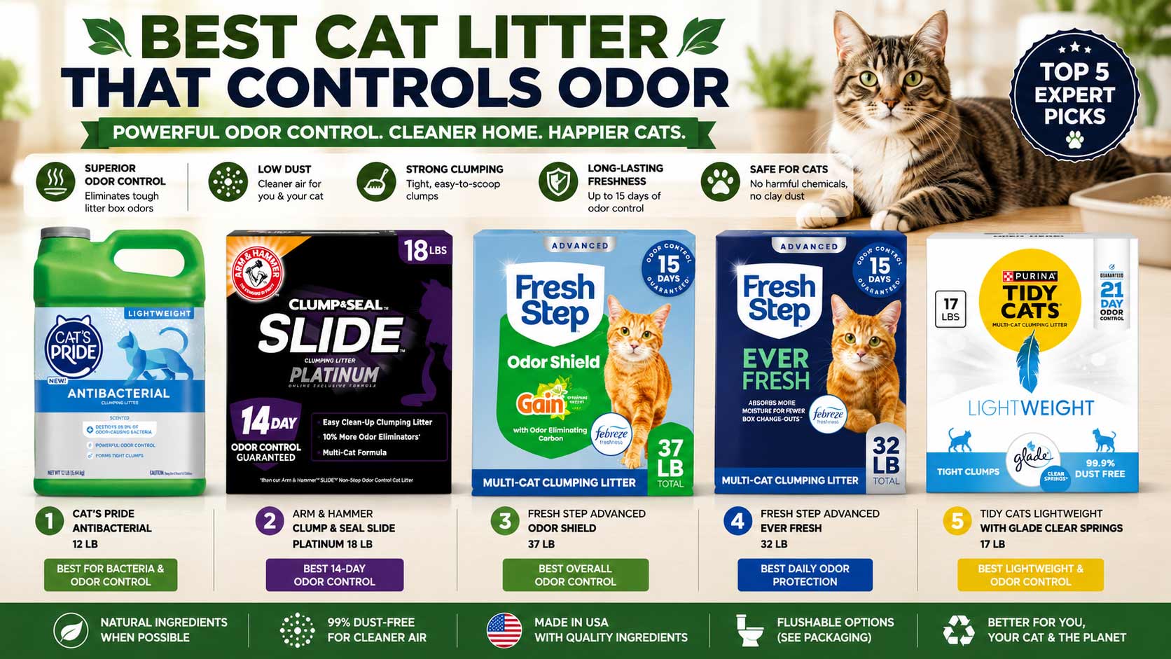 best cat litter that controls odor