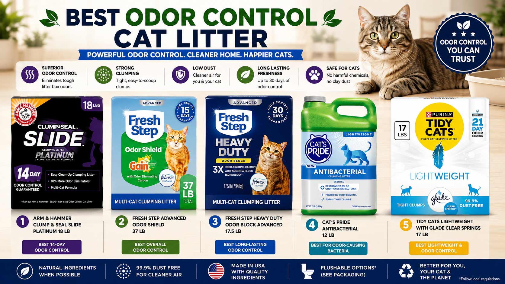 odor control cat litter