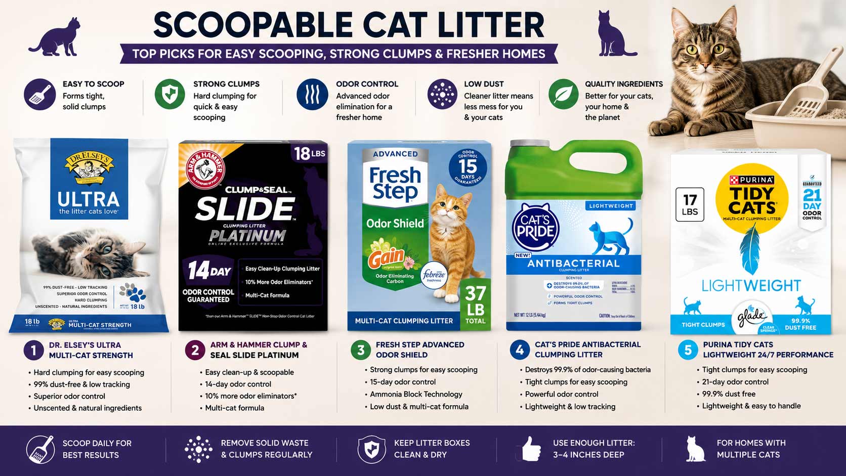 scoopable cat litter