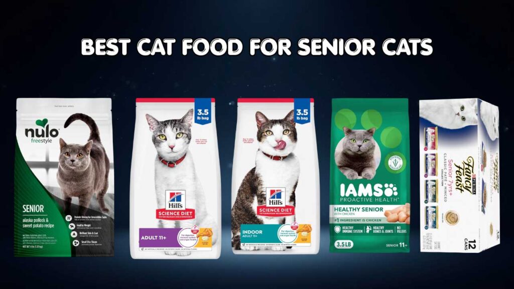 best cat food for senior cats
