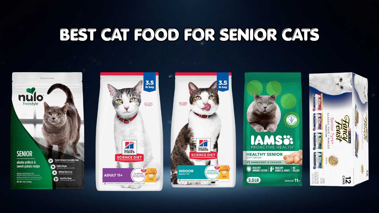 best cat food for senior cats