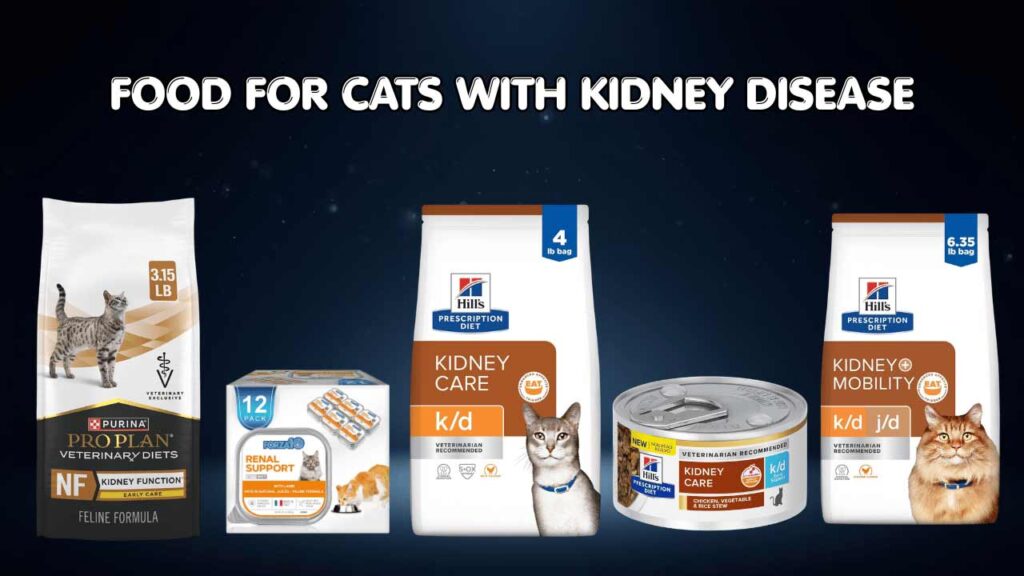 food for cats with kidney disease