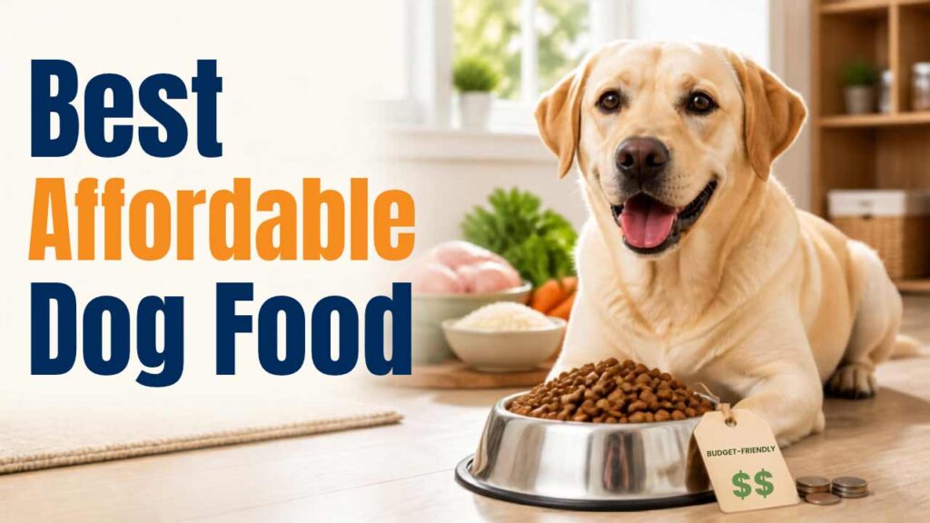 Best-Affordable-Dog-Food