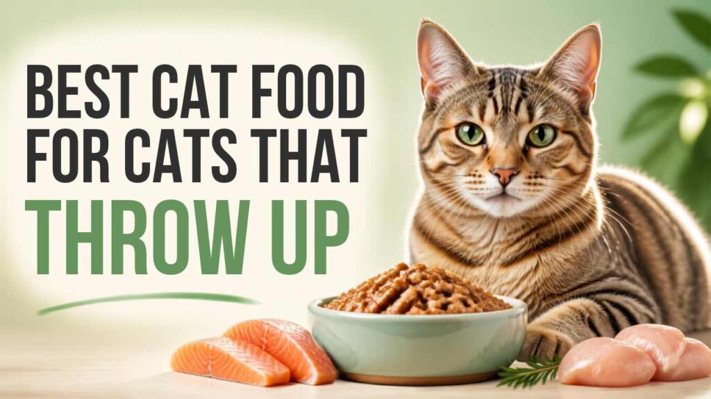 Best-Cat-Food-for-Cats-That-Throw