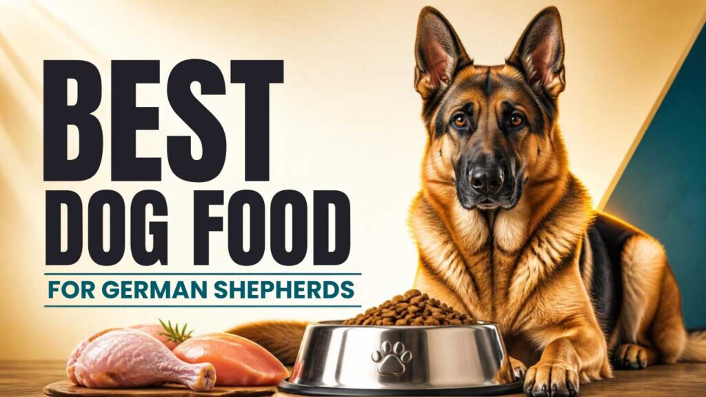 Best Dog Food for German Shepherds