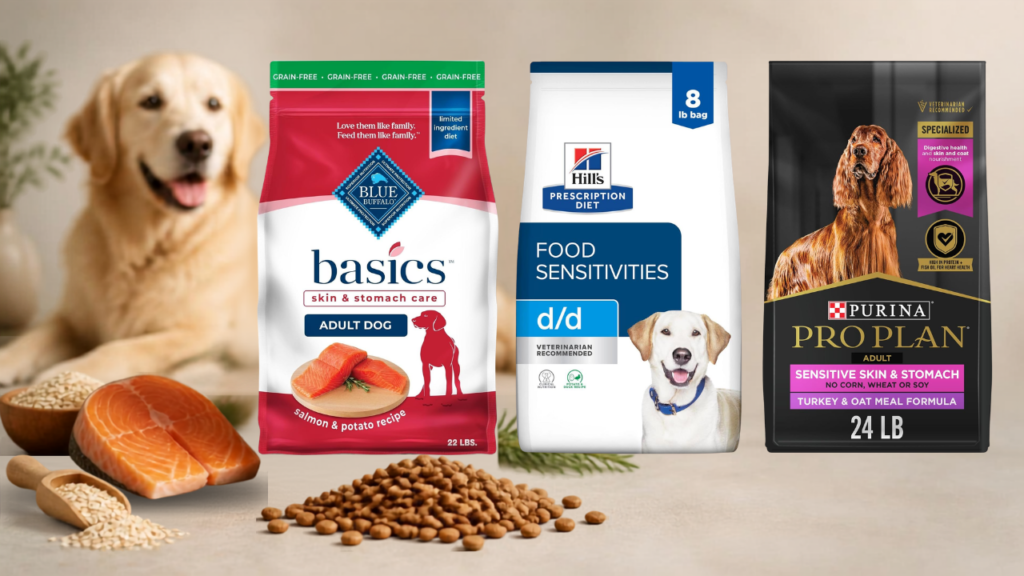 Best Dog Food for Skin Allergies