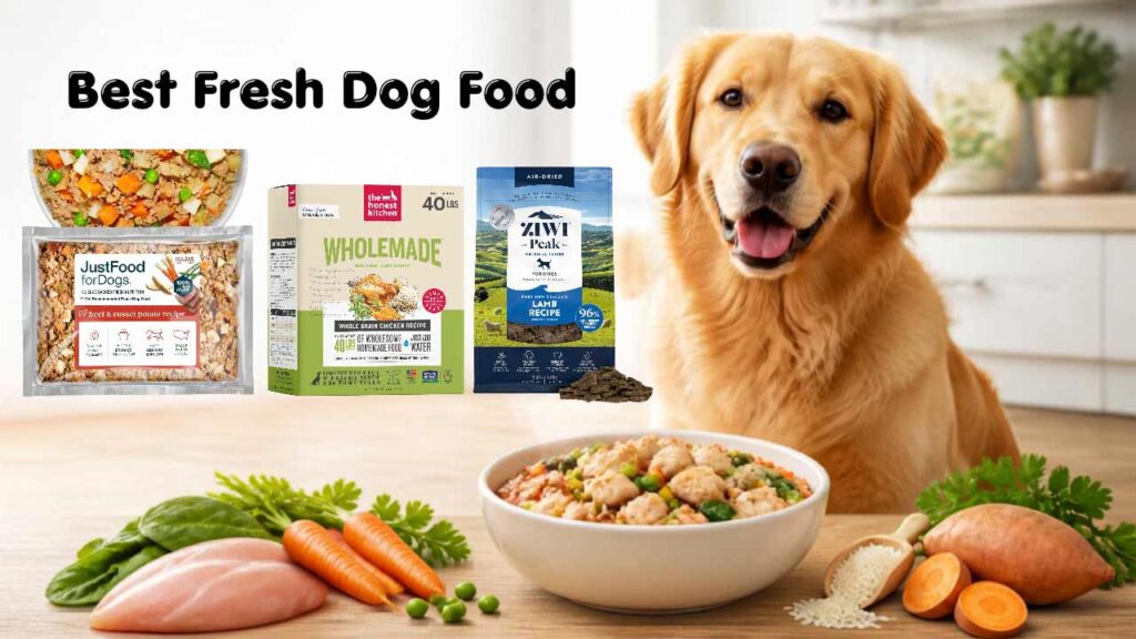 Best-Fresh-Dog-Food