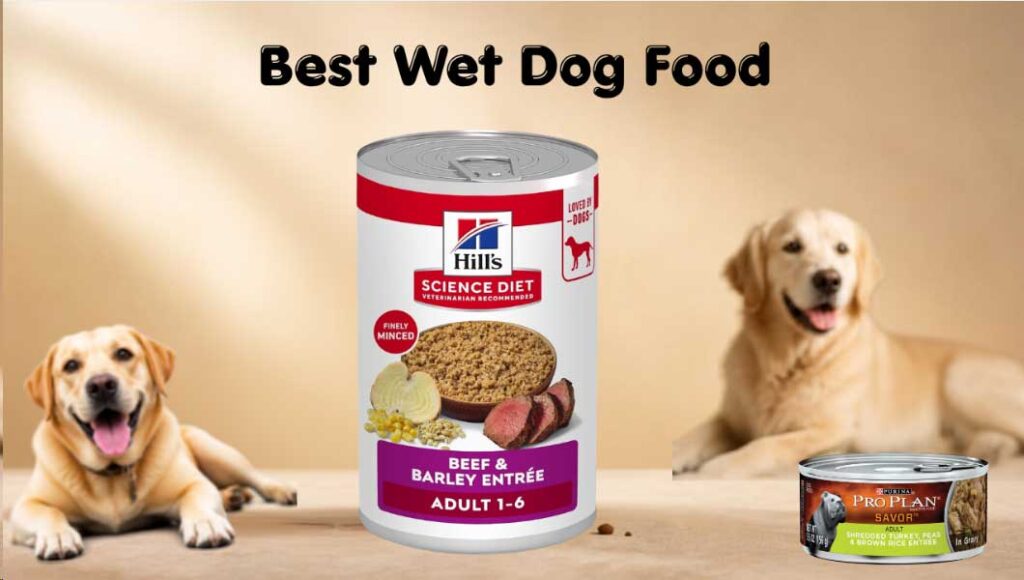 Best-Wet-Dog-Food