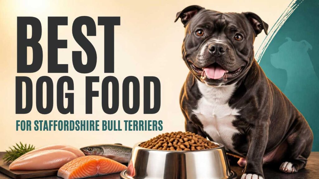 best-dog-food-for-staffordshire-bull-terriers