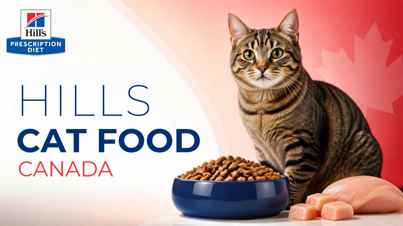 hills-cat-food-canada