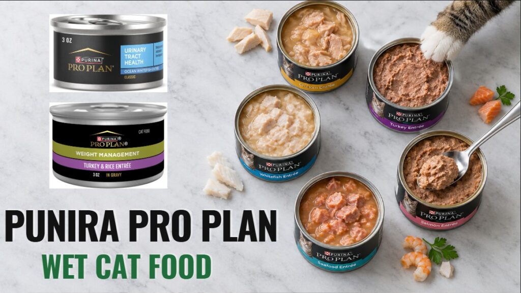 Fancy Feast Cat Food 01