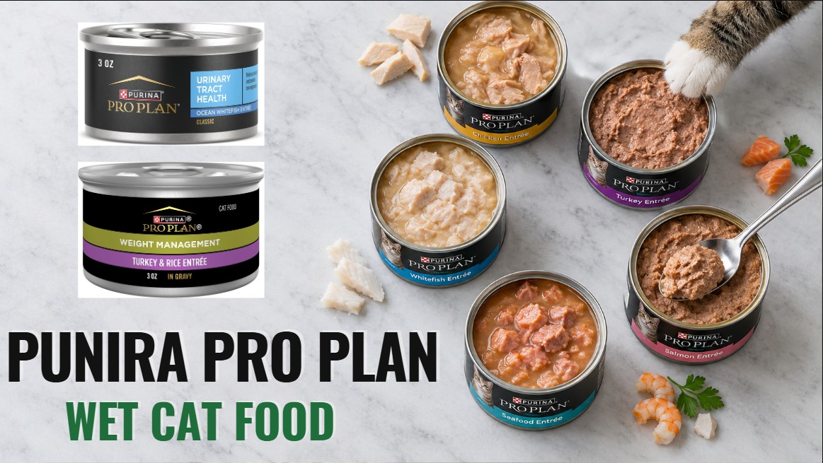 Fancy Feast Cat Food 01